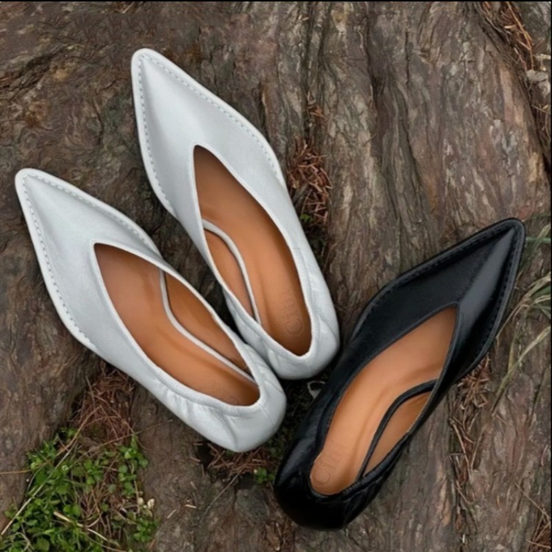 Women'S Fashion Summer 2025 - 2025 New Pointed Toe Single Shoes